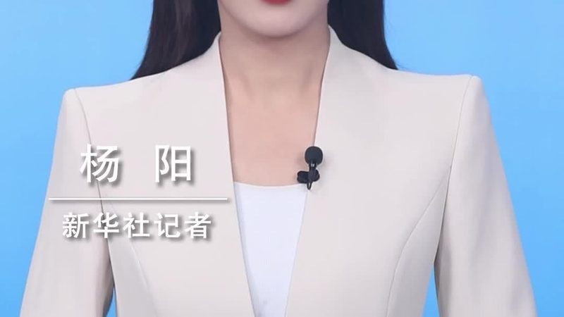 开源数据湖治理框架：构建企业大数据平台的基石**